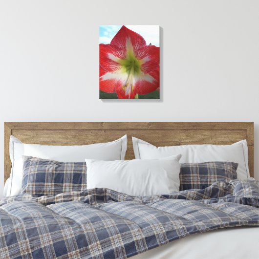 Rode en witte Amaryllis bloem tegen de hemel Canvas Afdruk (Insitu (Slaapkamer))