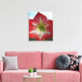 Rode en witte Amaryllis bloem tegen de hemel Canvas Afdruk (Insitu (Woonkamer))