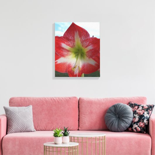 Rode en witte Amaryllis bloem tegen de hemel Canvas Afdruk (Insitu (Woonkamer))