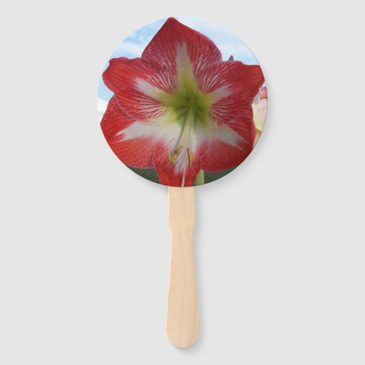 Rode en witte Amaryllis bloem tegen de hemel Handwaaier (Voorkant)