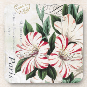 rode en witte Amaryllis onderzetters