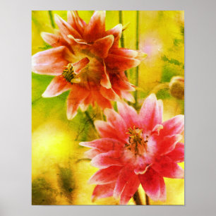 Rode en witte bloemenpaar distressed art poster