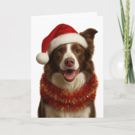 Rode en witte Border Collie kerstkaart Kaart