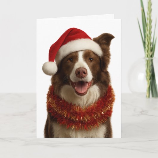 Rode en witte Border Collie kerstkaart Kaart (Voorkant)