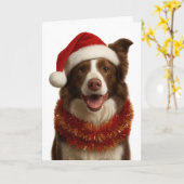 Rode en witte Border Collie kerstkaart Kaart (Gele Bloem)