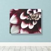 Rode en Witte Dahlia Bloem Canvas Afdruk (Insitu (Houten vloer))