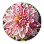 RODE EN WITTE DAHLIA KERAMISCHE KNOP (Voorkant)