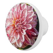 RODE EN WITTE DAHLIA KERAMISCHE KNOP (Rechts)