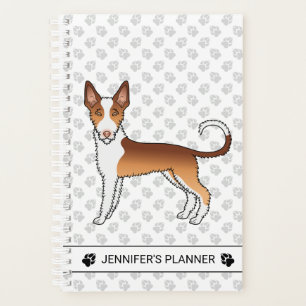 Rode En Witte Draadharige Ibizan Hound Hond & Teks Planner