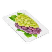 Rode en witte druiven magneet (Rechterzijde)