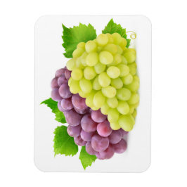 Rode en witte druiven magneet