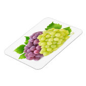 Rode en witte druiven magneet (Linkerzijde)