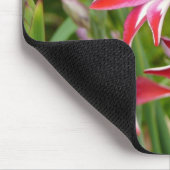 Rode en witte Gladiolas Summer Garden Muismat (Hoek)