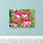 Rode en Witte Gladiolen Zomerboeketten Canvas Afdruk (Insitu (Houten vloer))