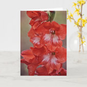 Rode en witte Gladiolus Flower Note Kaart (Gele Bloem)