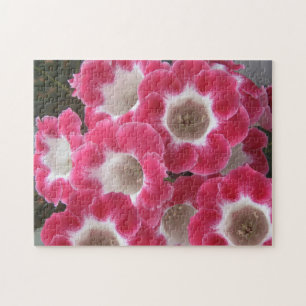 Rode en witte gloxinia bloemen . legpuzzel