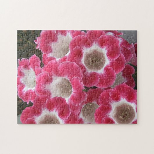Rode en witte gloxinia bloemen . legpuzzel (Horizontaal)