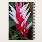 Rode en Witte Heliconia Bloem Notitieboek (Achterkant)