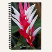 Rode en Witte Heliconia Bloem Notitieboek (Voorkant)
