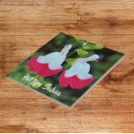Rode en witte hete lippen Salvia Floral Tegeltje<br><div class="desc">Keramische tegel met een foto-afbeelding van de kleine,  rode en witte bloempjes van Hot Lips Salvia,  ook bekend als Littleleaf Sage. Een mooi,  bloemig ontwerp! Selecteer de grootte van uw tegel. Maakt een geweldige keuken trivet!</div>
