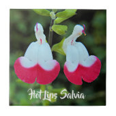Rode en witte hete lippen Salvia Floral Tegeltje (Voorkant)