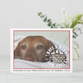 Rode en witte hond huisdier Kerstmis foto Feestdagenkaart (Staand voorkant)