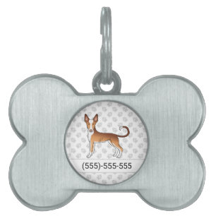 Rode en witte Ibizan Hound met gladde vacht Hond e Huisdieren Naamplaatje
