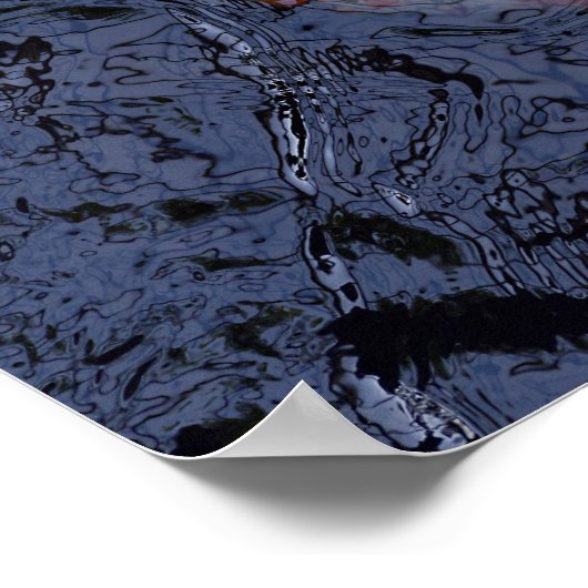 Rode en witte karper poster (Hoek)