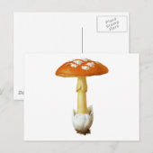 Rode en witte paddenstoel briefkaart (Voorkant / Achterkant)