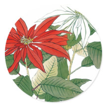 Rode en witte Poinsettias Ronde Sticker