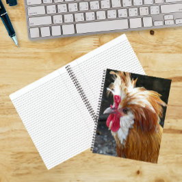 Rode en Witte Poolse Kip Notitieboek