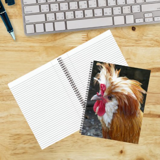 Rode en Witte Poolse Kip Notitieboek