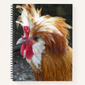 Rode en Witte Poolse Kip Notitieboek (Voorkant)