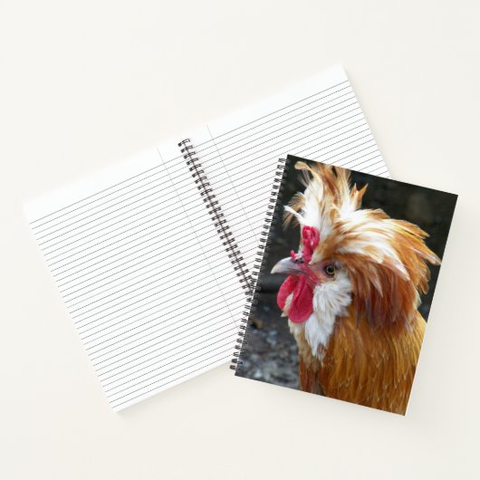 Rode en Witte Poolse Kip Notitieboek (Binnen)