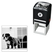 rode en witte puppy  zelfinktende stempel (In situ)