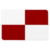 Rode en witte rechthoeken magneet (Horizontaal)