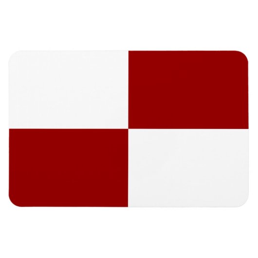 Rode en witte rechthoeken magneet (Horizontaal)