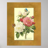 Rode en witte Rozen Faux Grunge Poster (Voorkant)