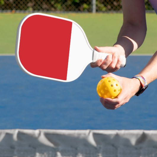 Rode en witte streep pickleball paddle (Insitu)