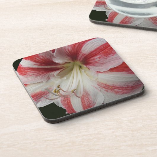 Rode en witte stripper Amaryllis Floral Bier Onderzetter (Linkerzijde)
