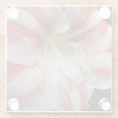 Rode en witte stripper Amaryllis Floral Glazen Onderzetter (Achterkant)