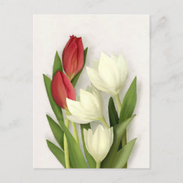 Rode en Witte Tulpen Bloemkaart Briefkaart