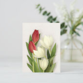 Rode en Witte Tulpen Bloemkaart Briefkaart (Staand voorkant)