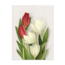 Rode en Witte Tulpen Bloemkaart