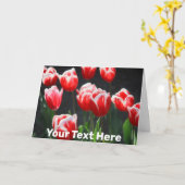  rode en witte tulpen kaart (Gele Bloem)