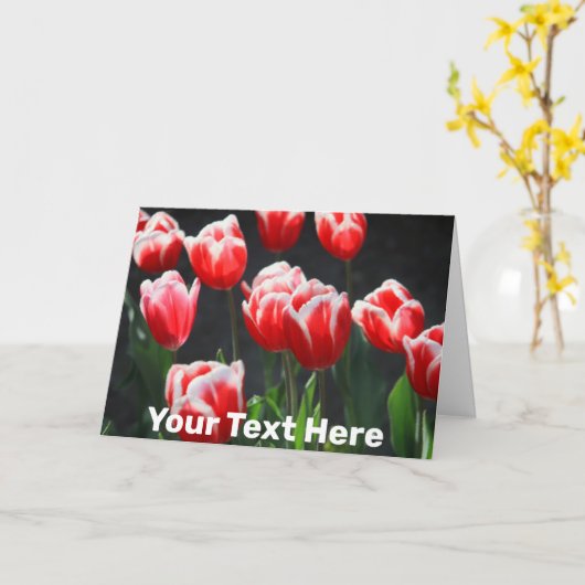  rode en witte tulpen kaart (Gele Bloem)