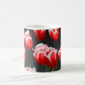 Rode en witte tulpen koffiemok (Center)