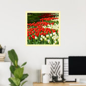 Rode en witte tulpen poster (Thuiskantoor)