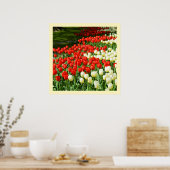 Rode en witte tulpen poster (Keuken)