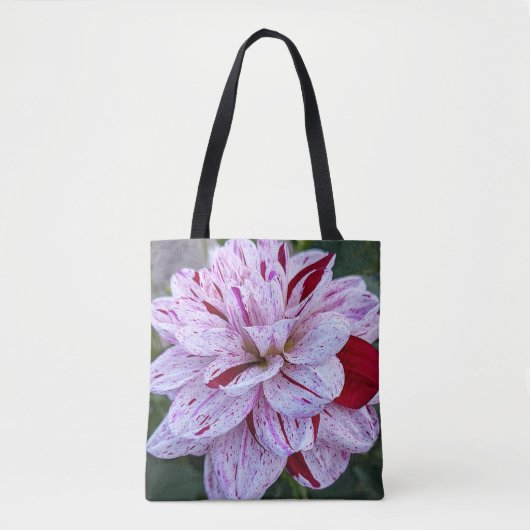 Rode en witte variëteiten Dahlia Bloom Floral Tote Bag (Voorkant)